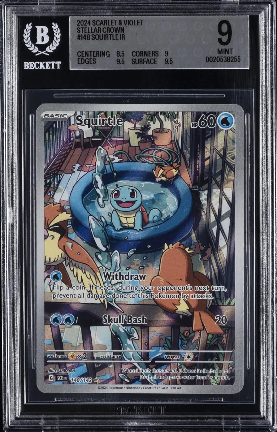 Squirtle
