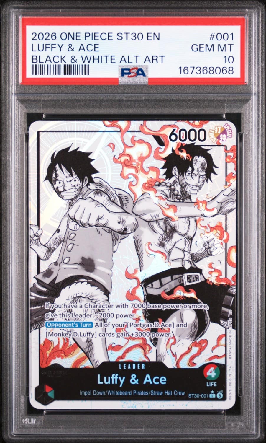 Luffy & Ace