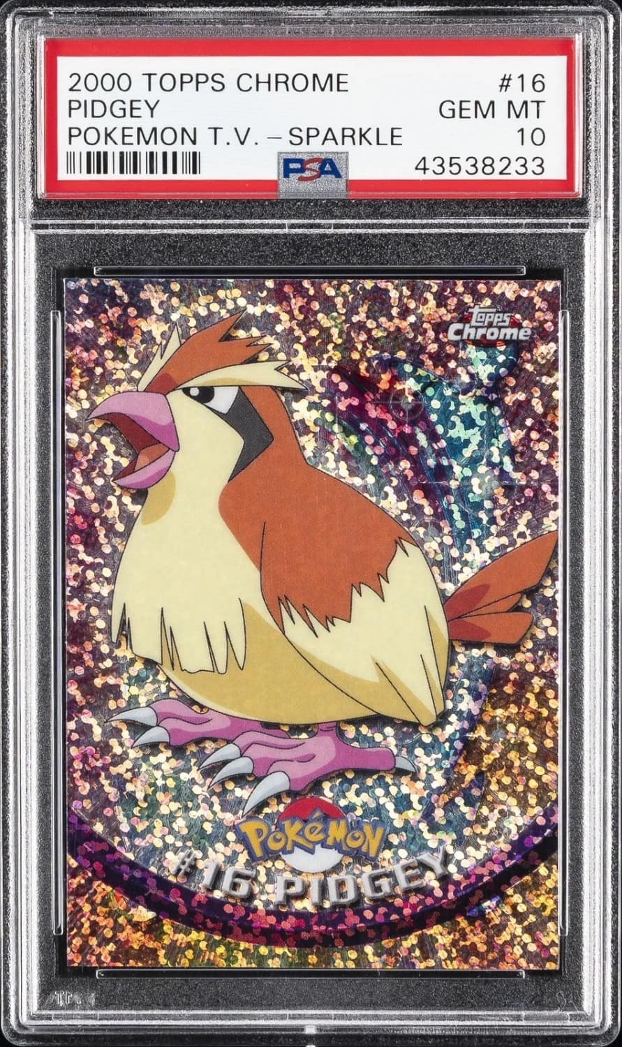Pidgey