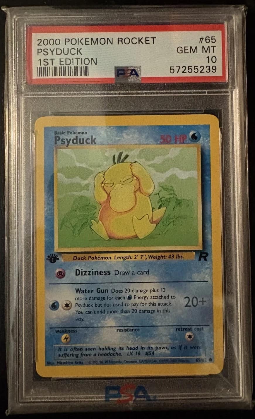 Psyduck