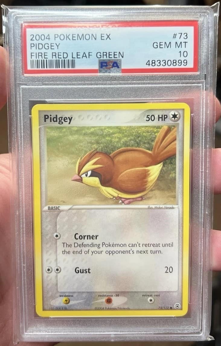 Pidgey