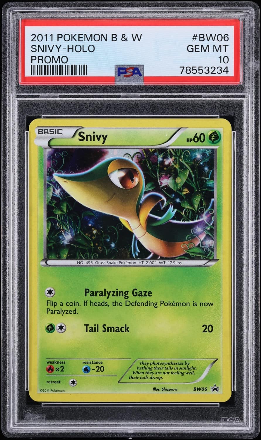 Snivy