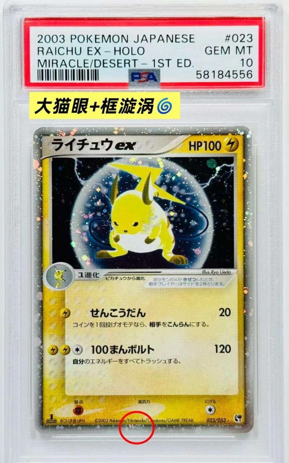 Raichu Ex
