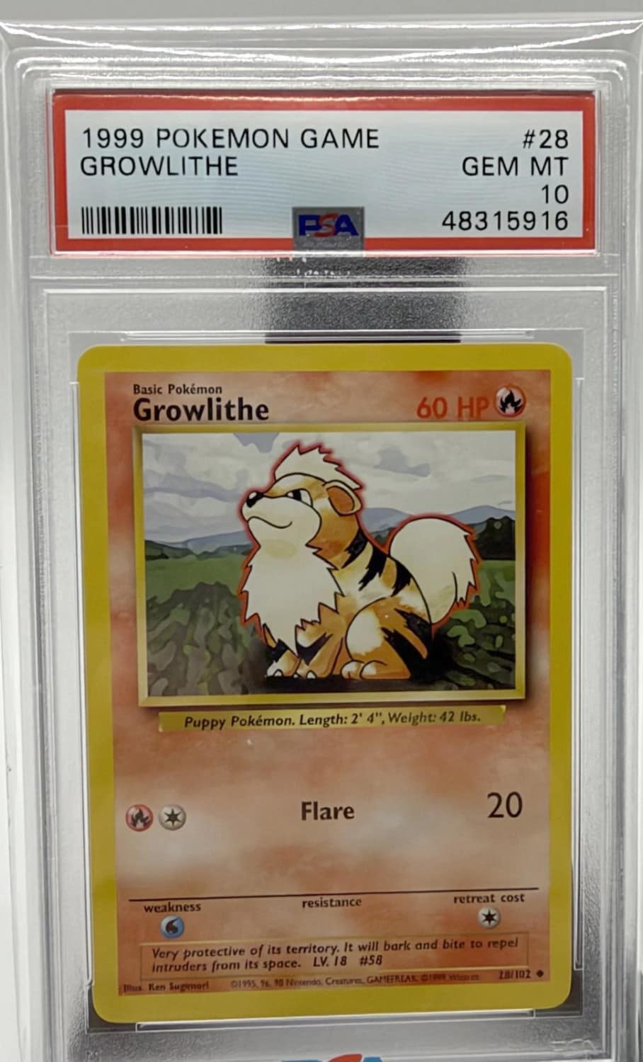 Growlithe