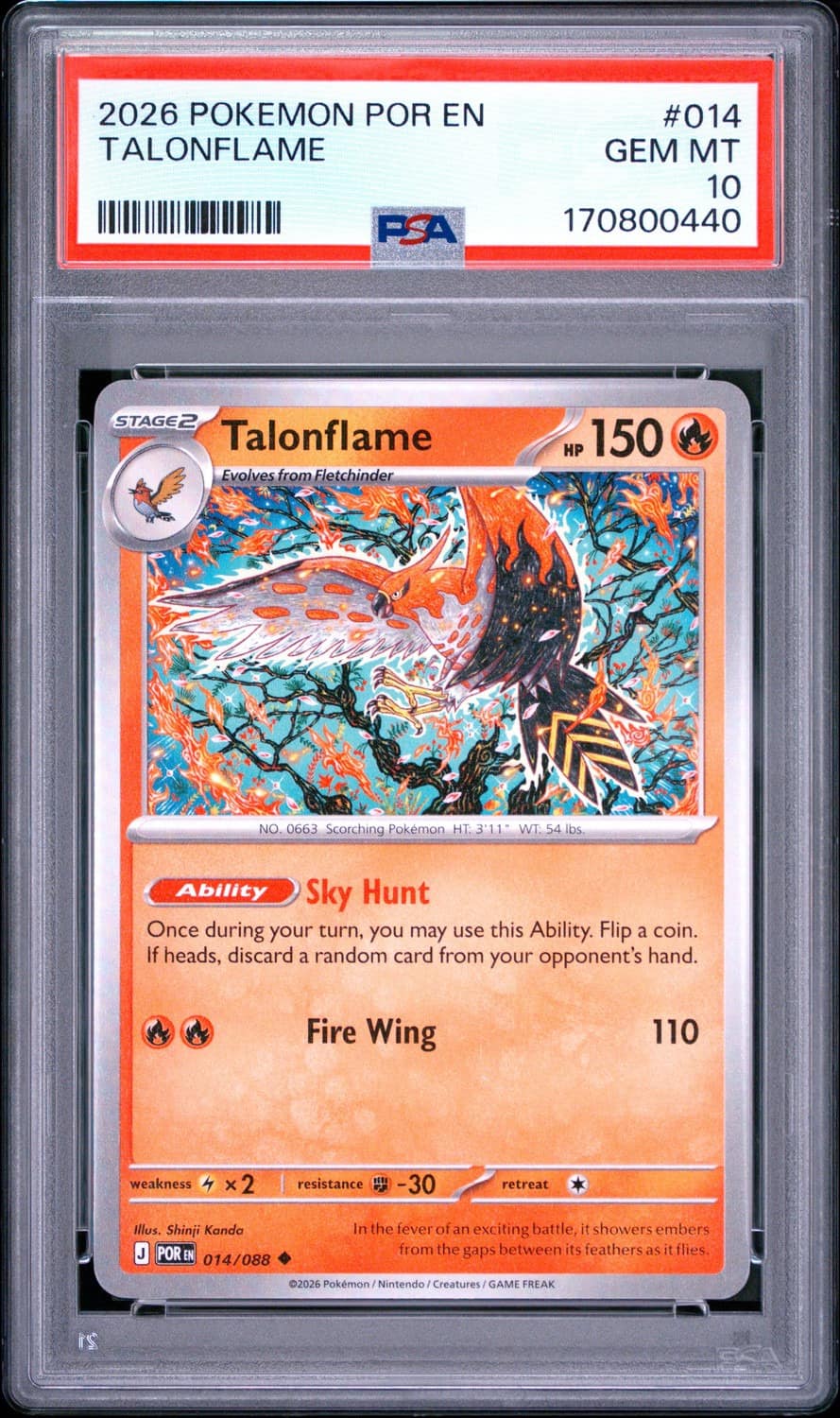 Talonflame