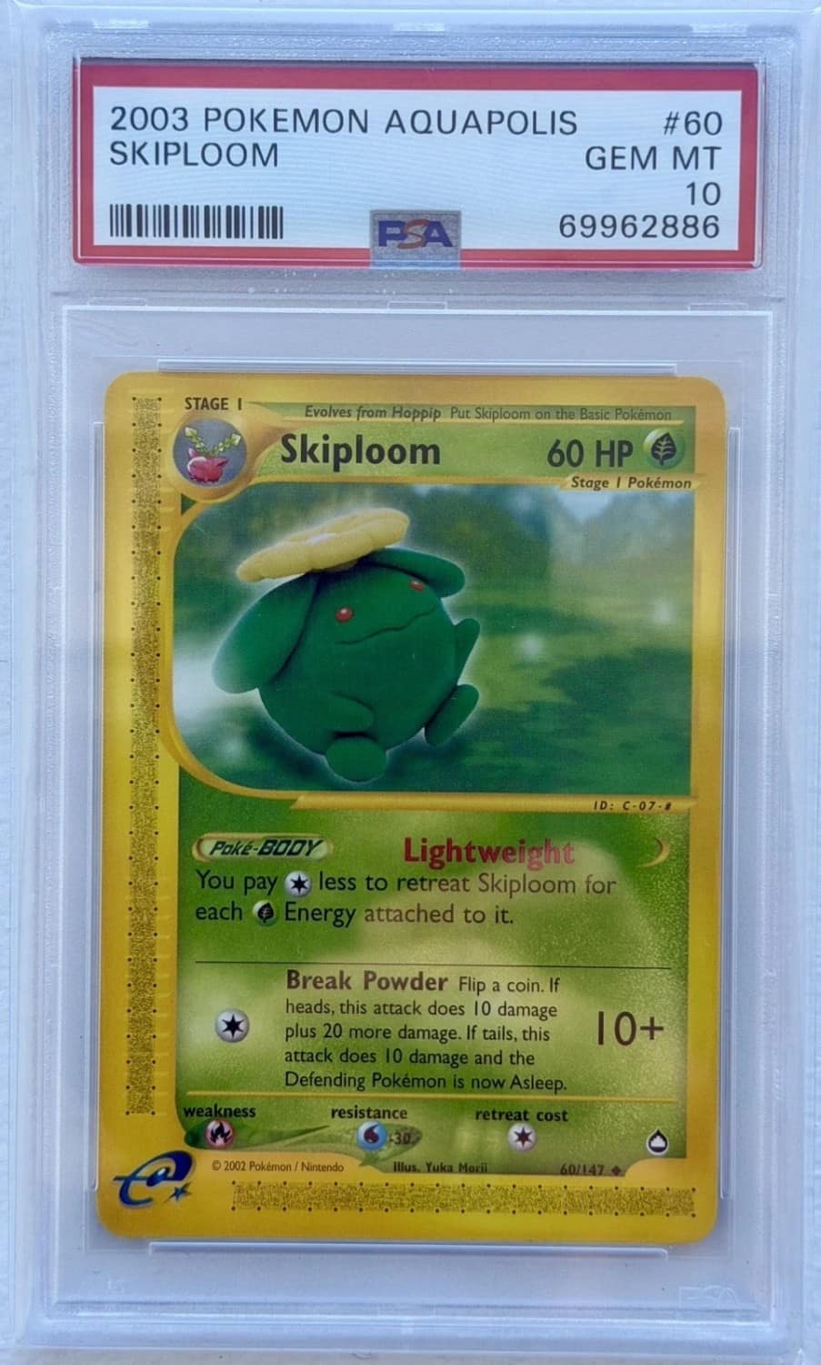 Skiploom