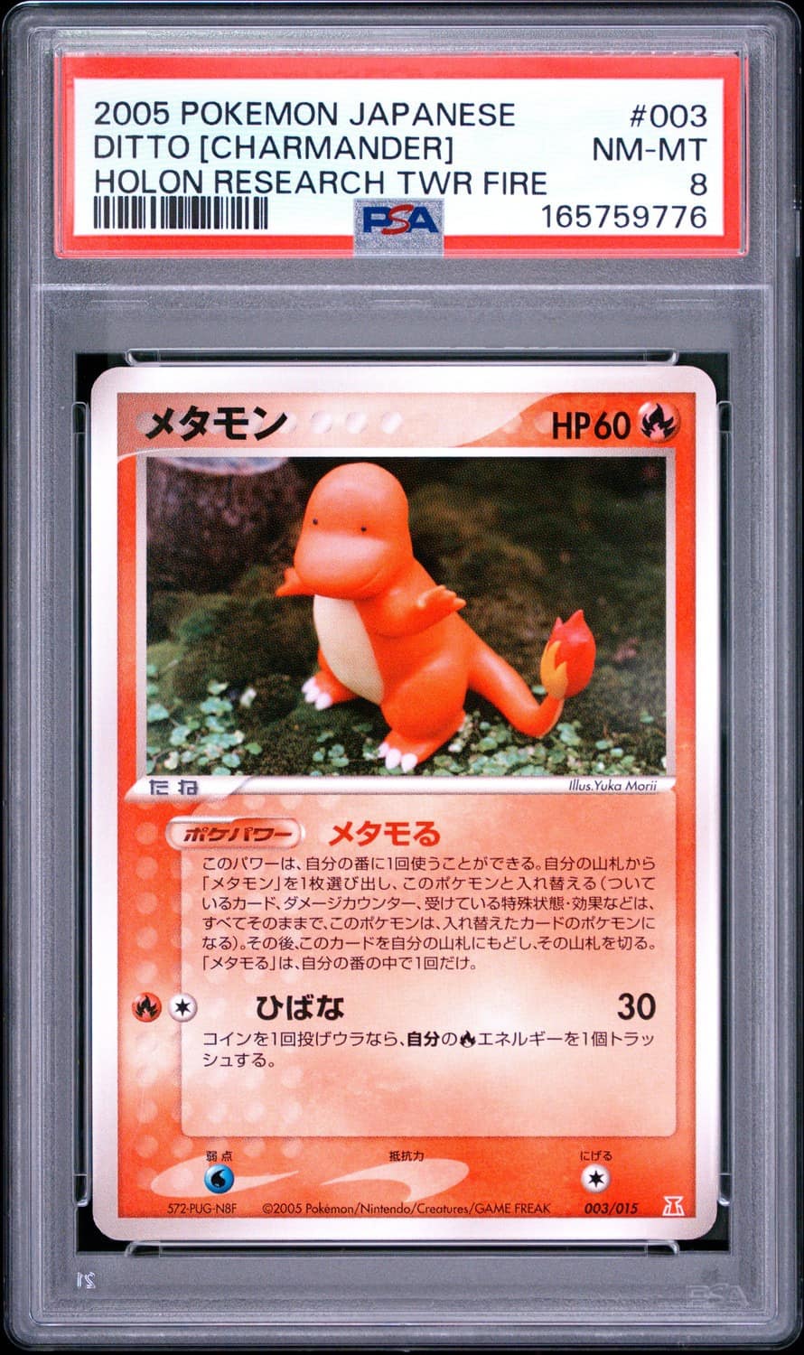 Ditto [charmander]