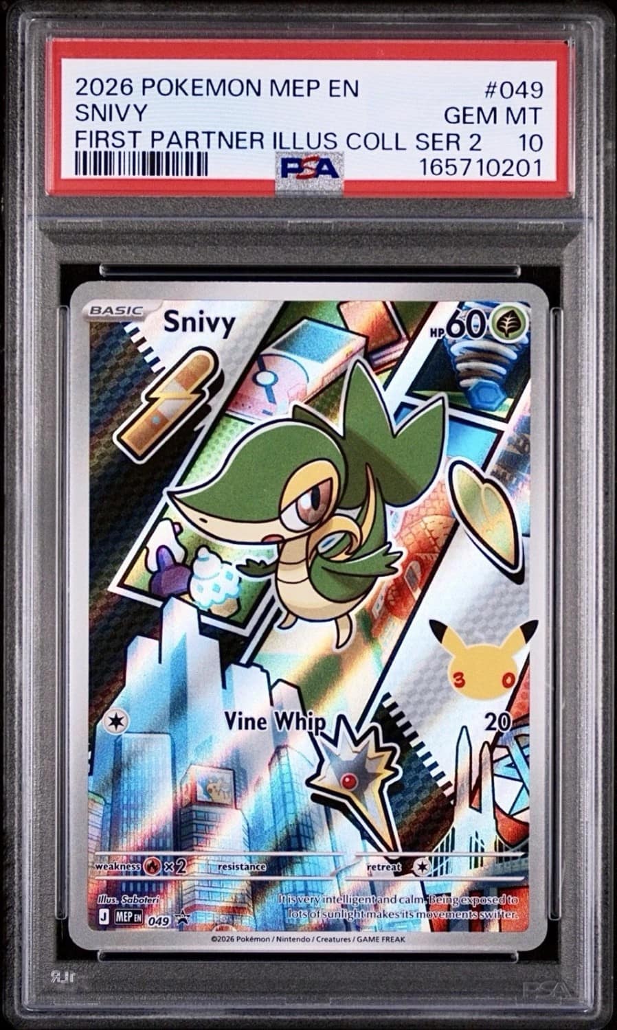 Snivy