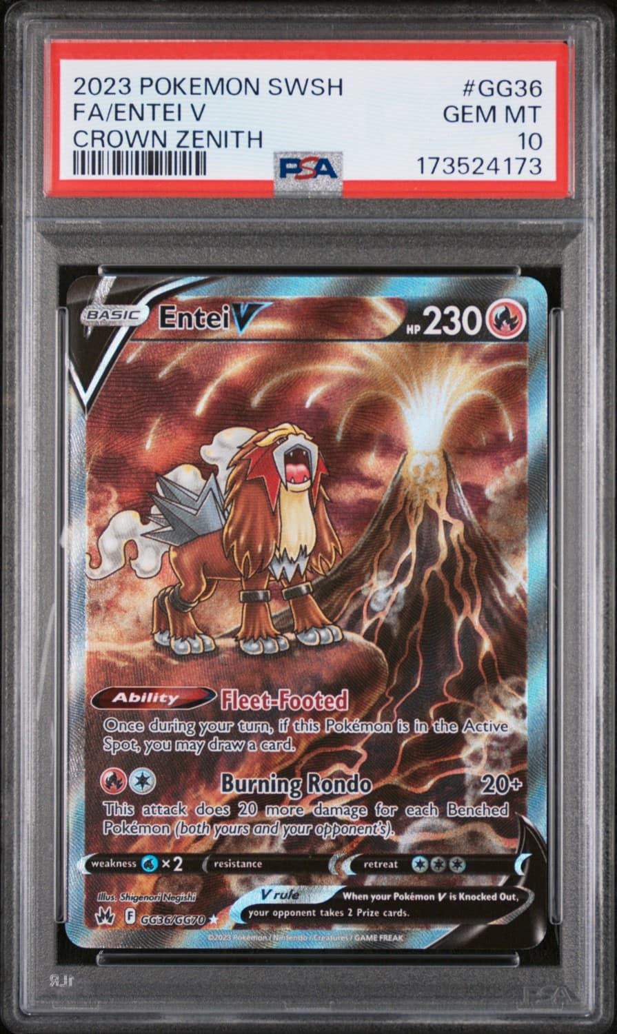 Entei V