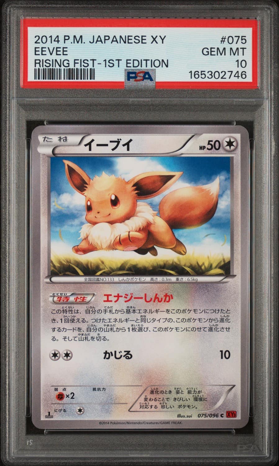 Eevee