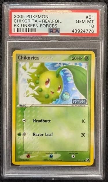 Chikorita