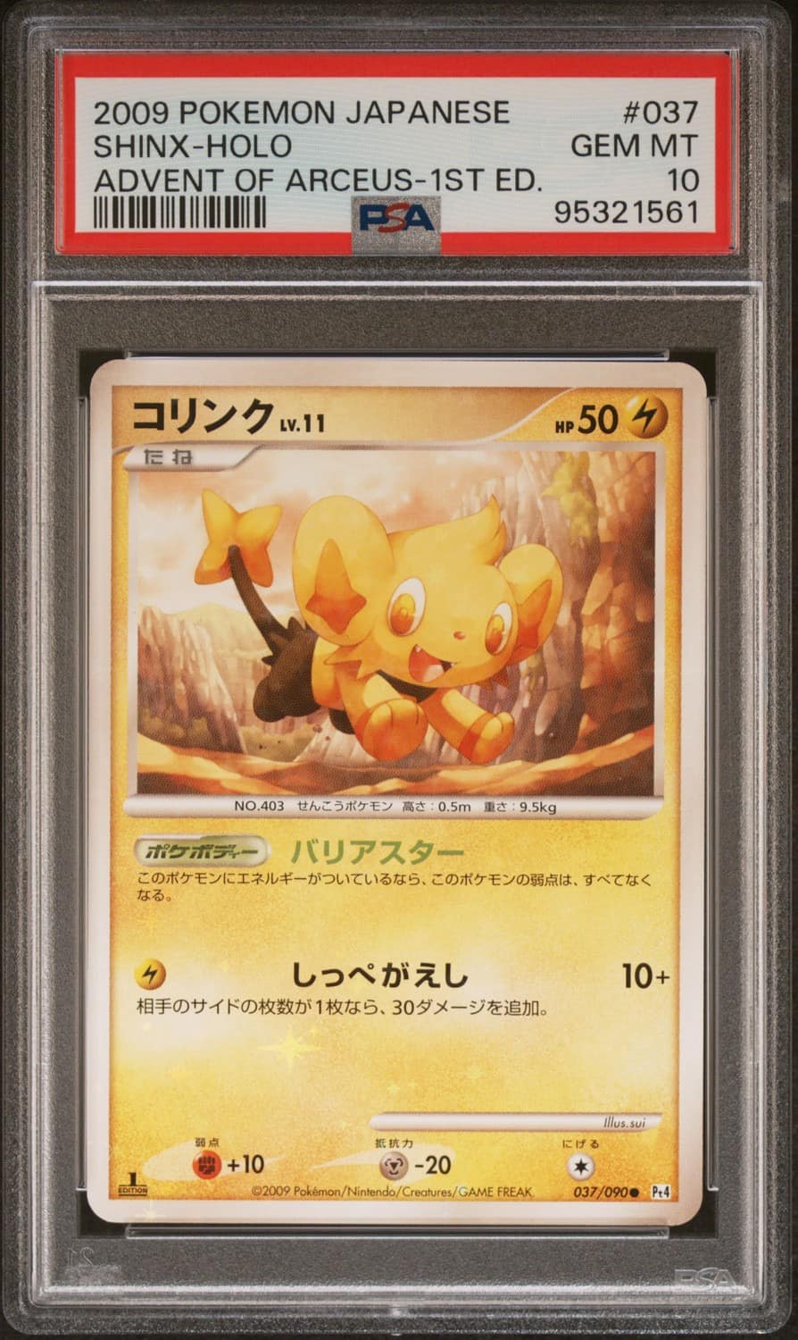 Shinx