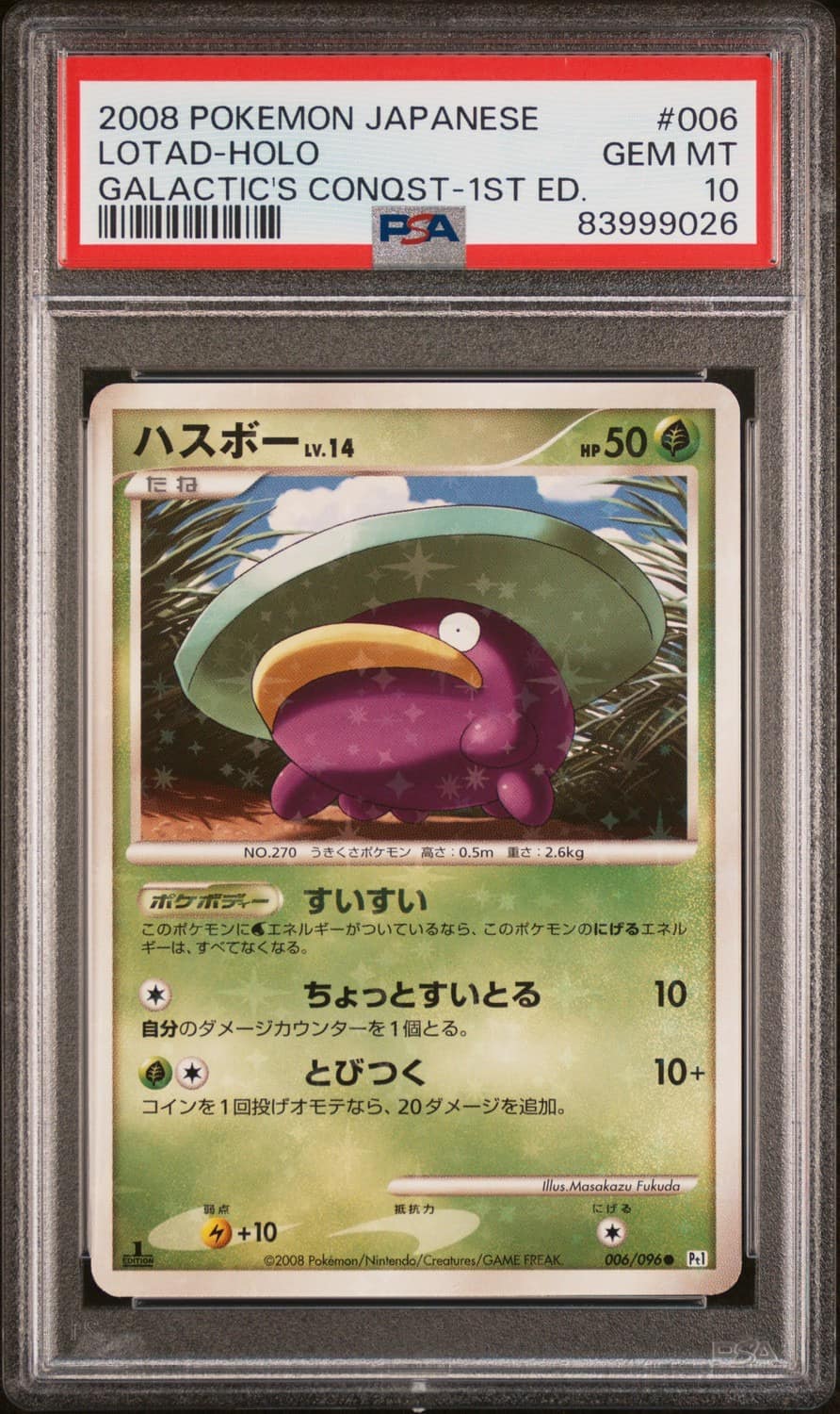 Lotad