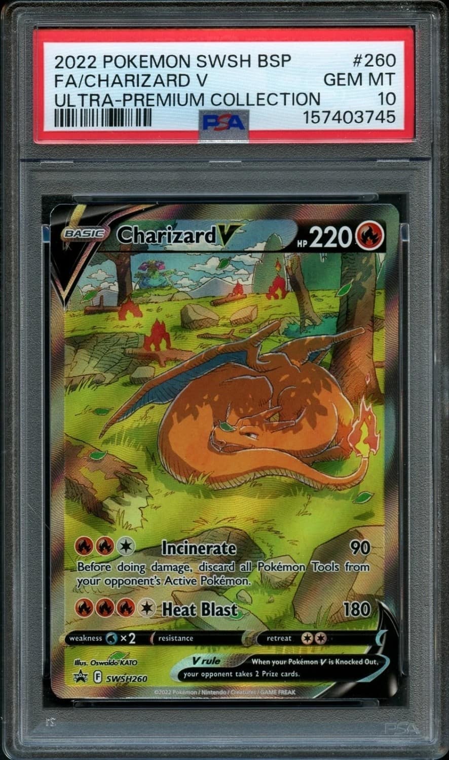 Charizard V
