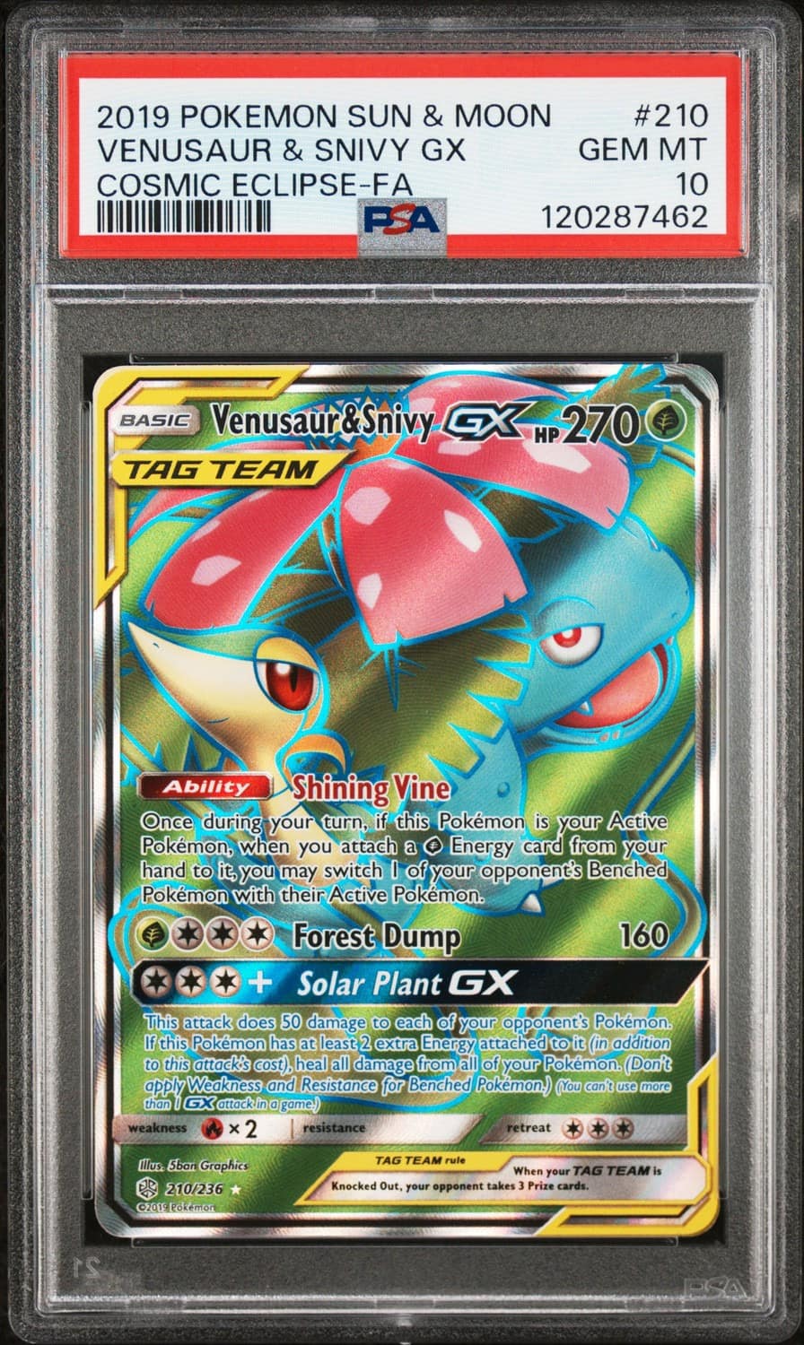 Venusaur & Snivy Gx