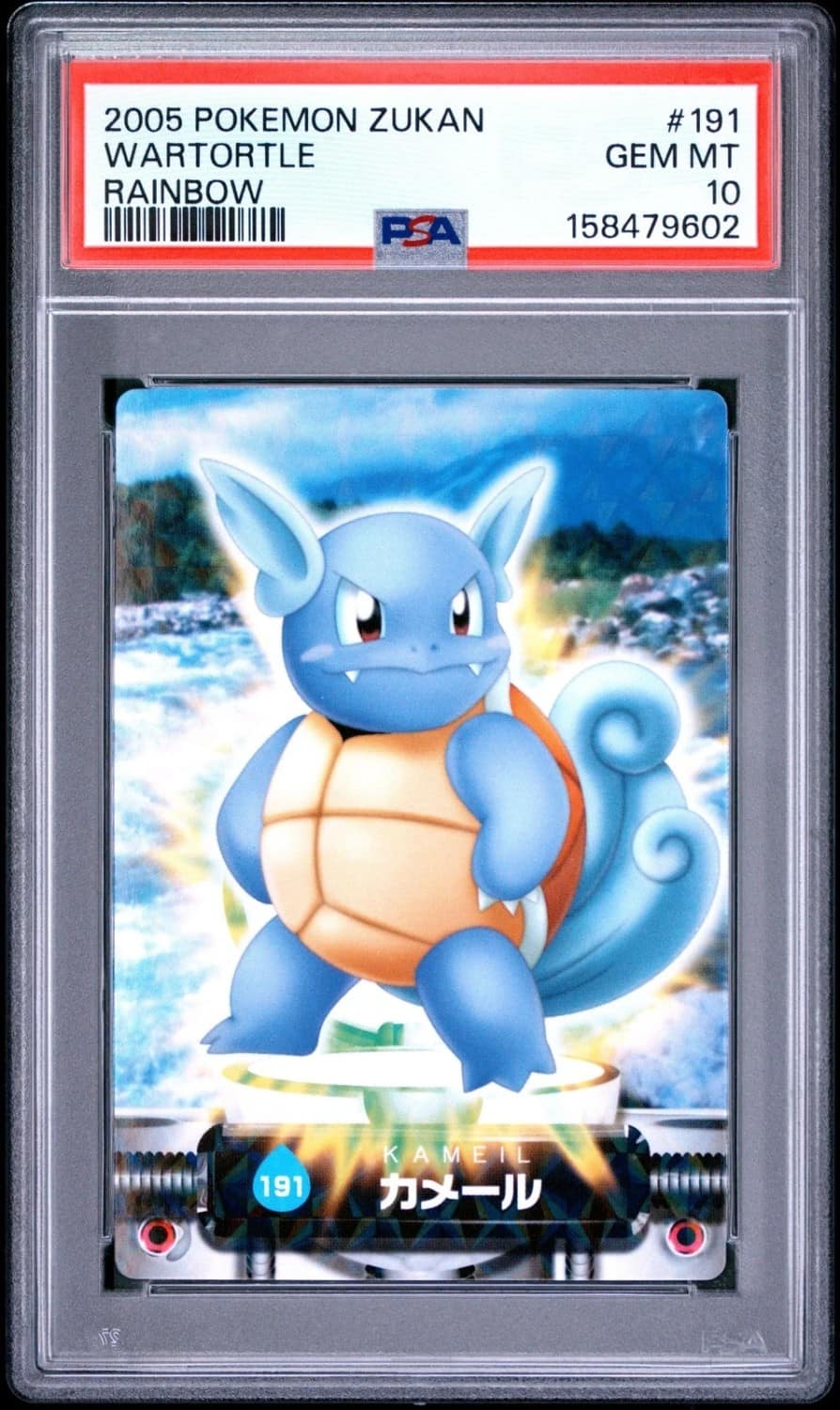 Wartortle