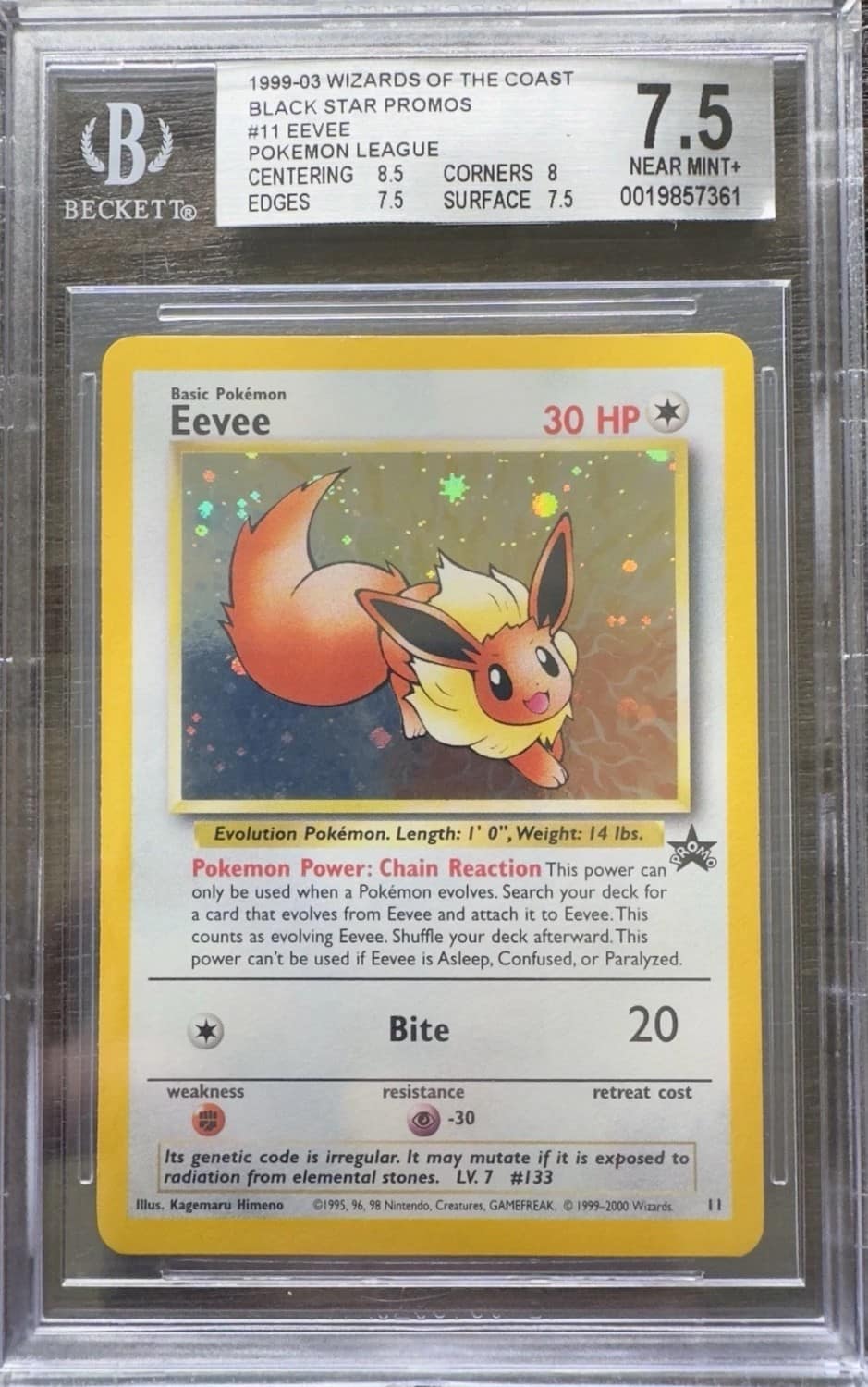 Eevee