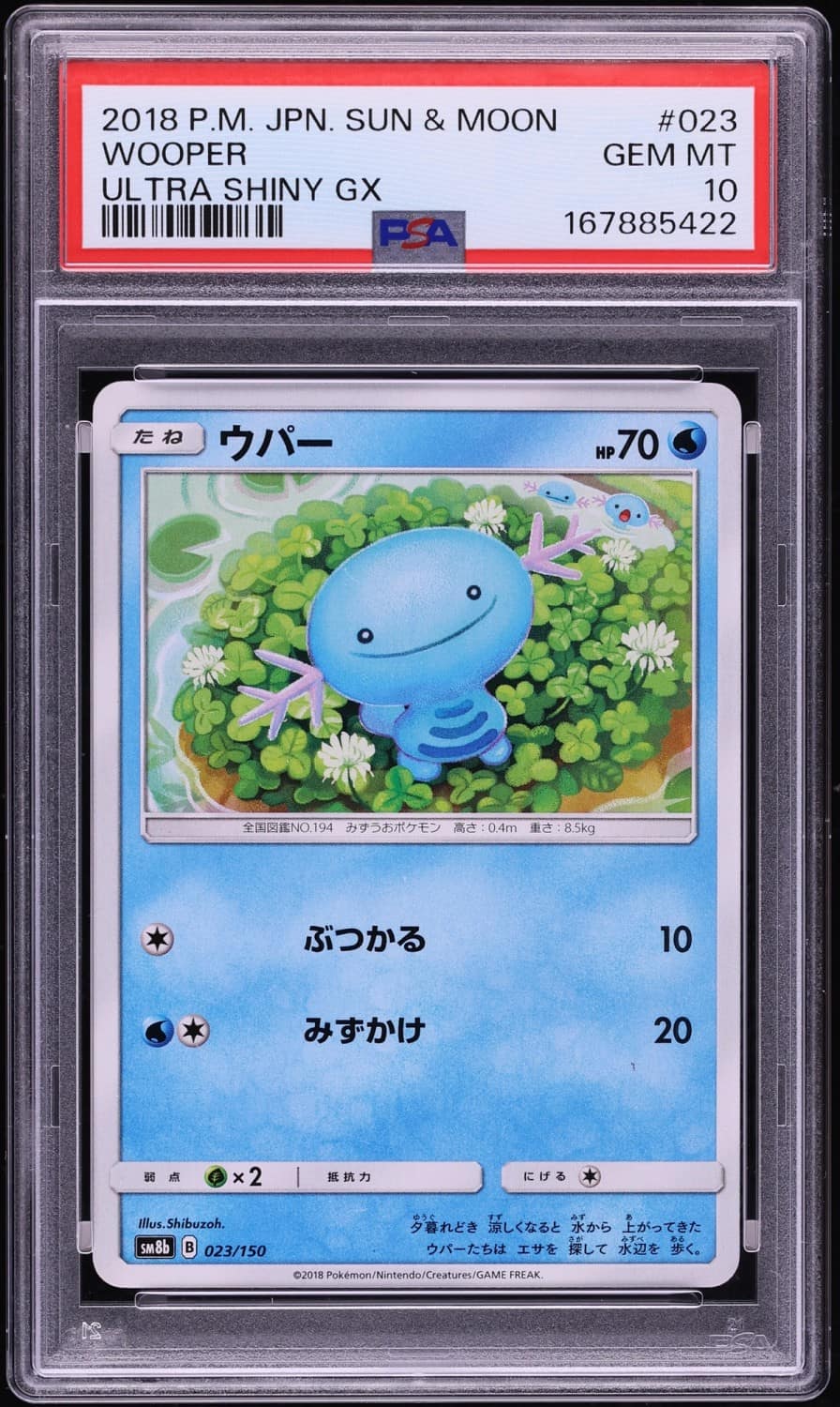 Wooper