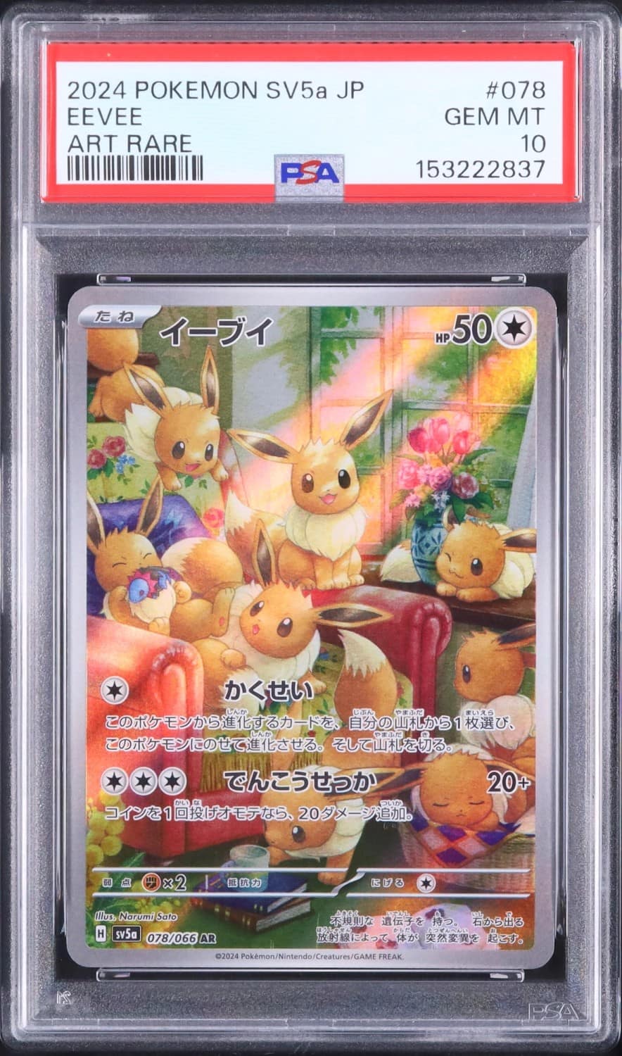 Eevee