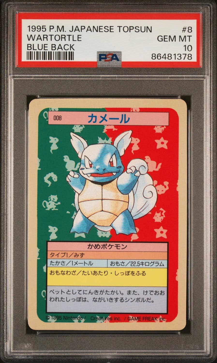 Wartortle