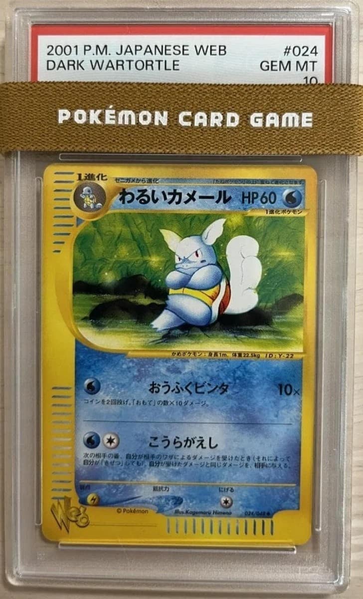 Dark Wartortle