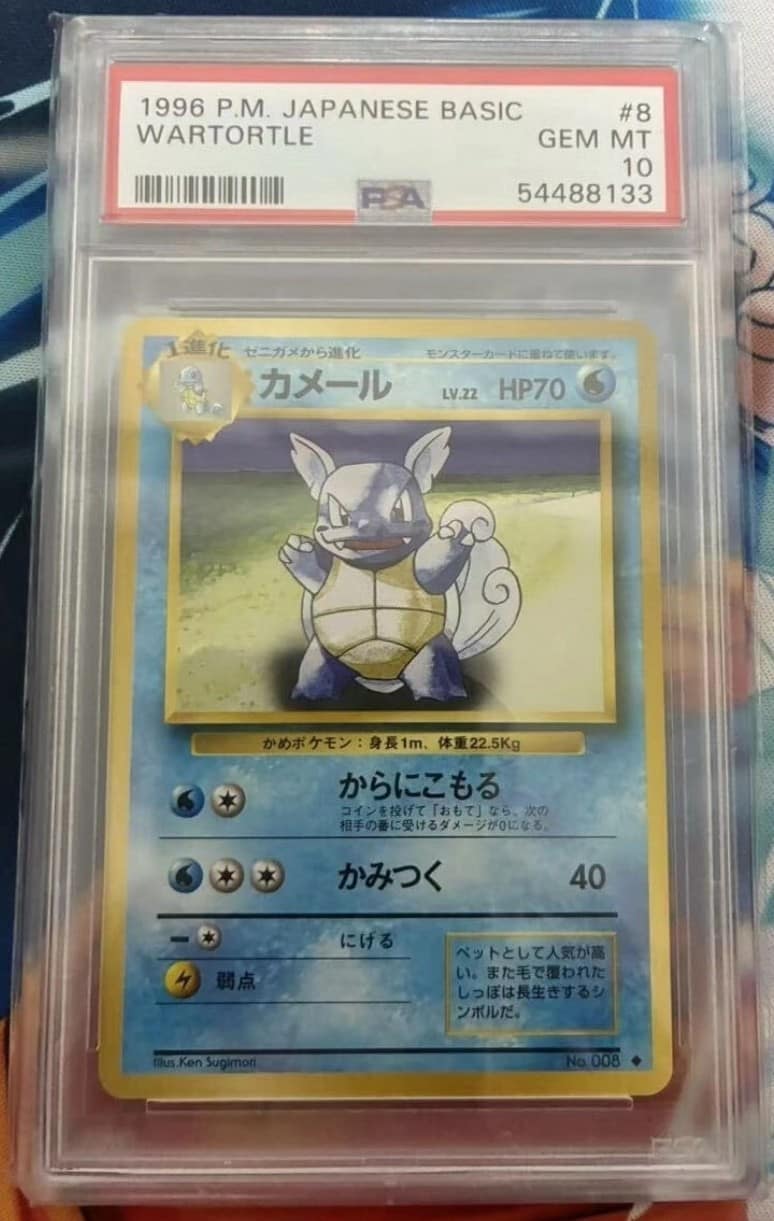 Wartortle