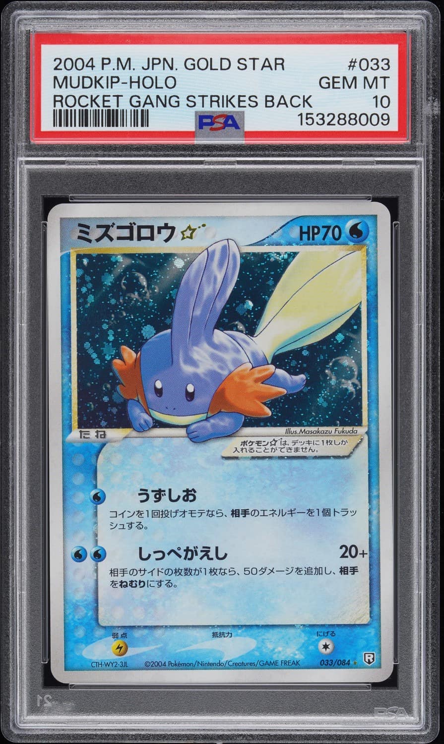 Mudkip
