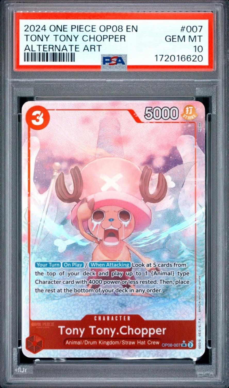 Tony Tony Chopper