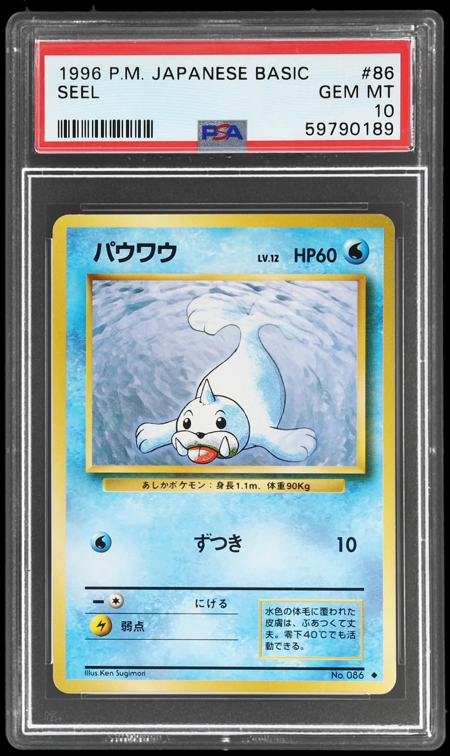 Seel