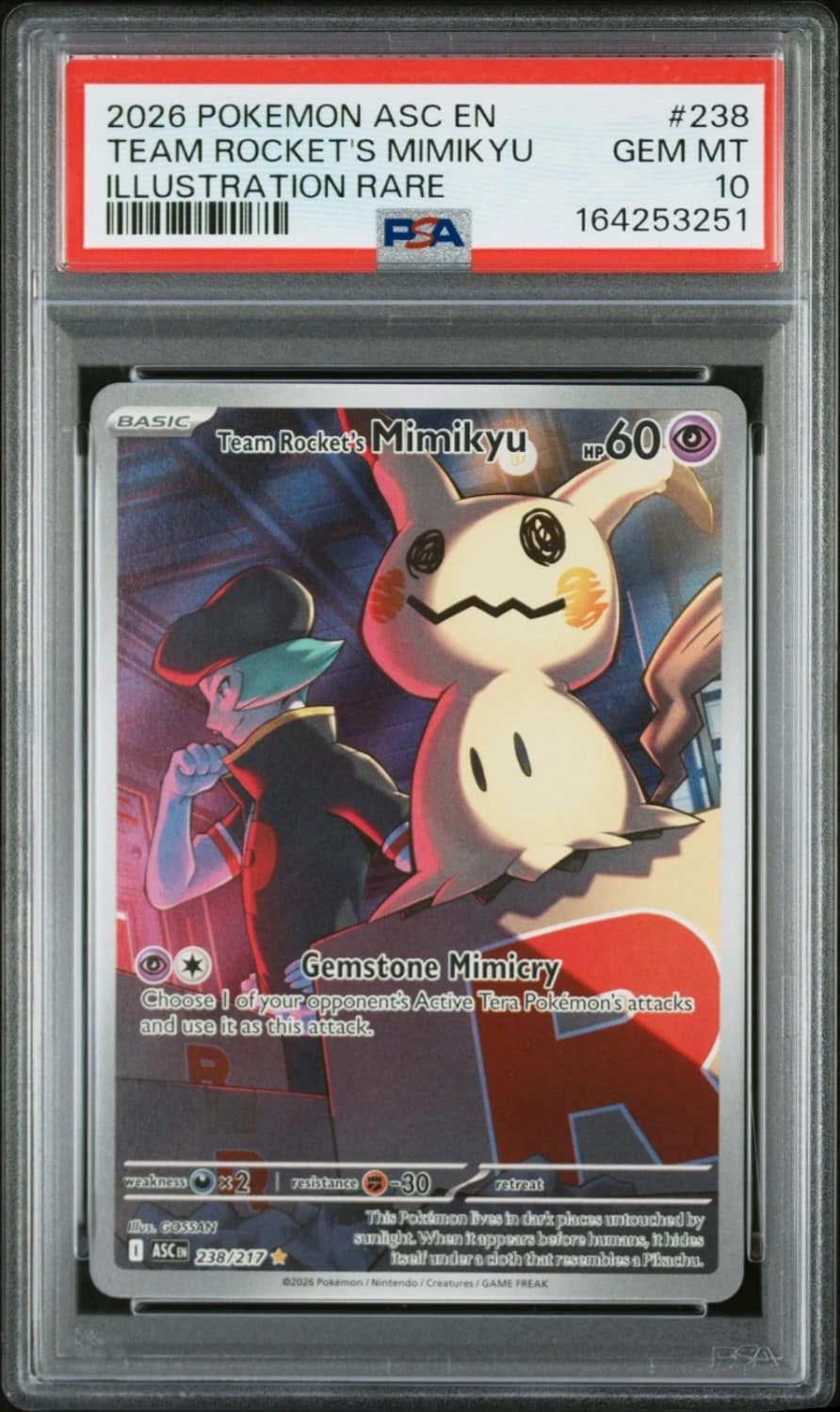 Team Rocket'S Mimikyu