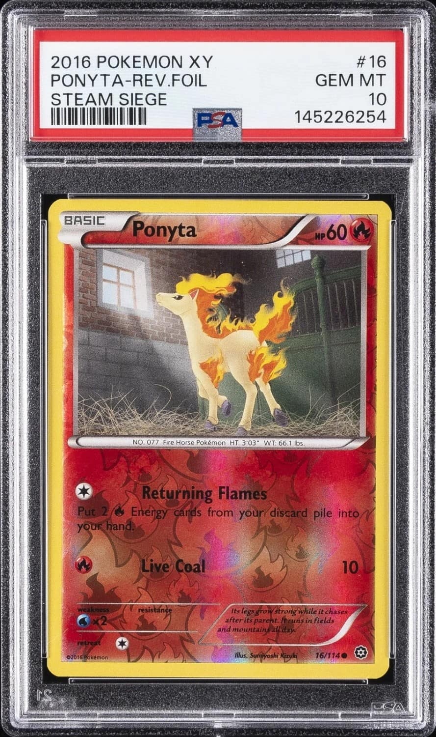 Ponyta
