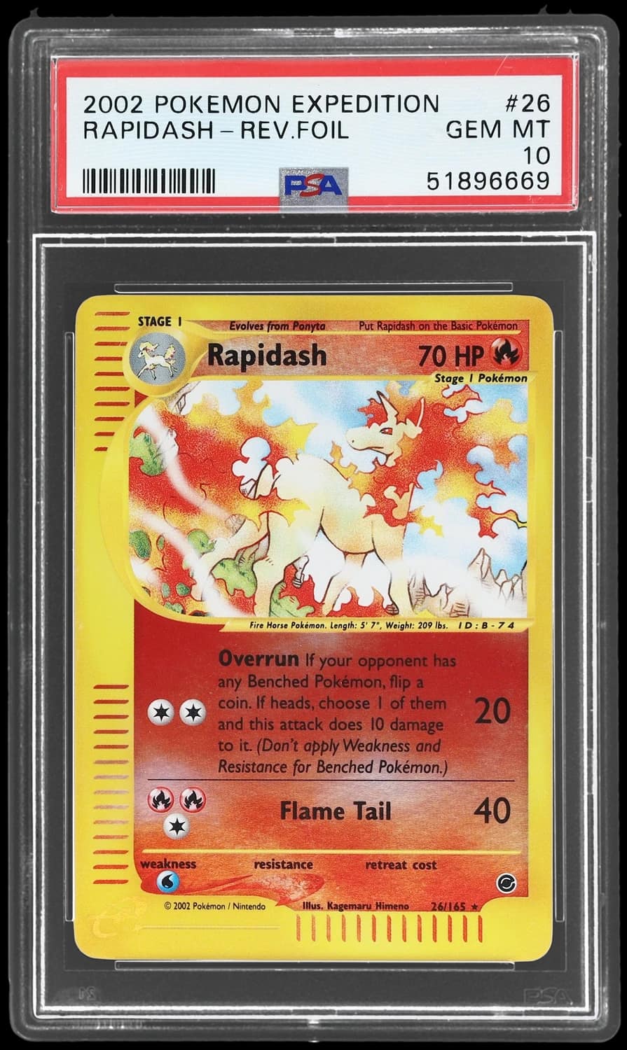 Rapidash