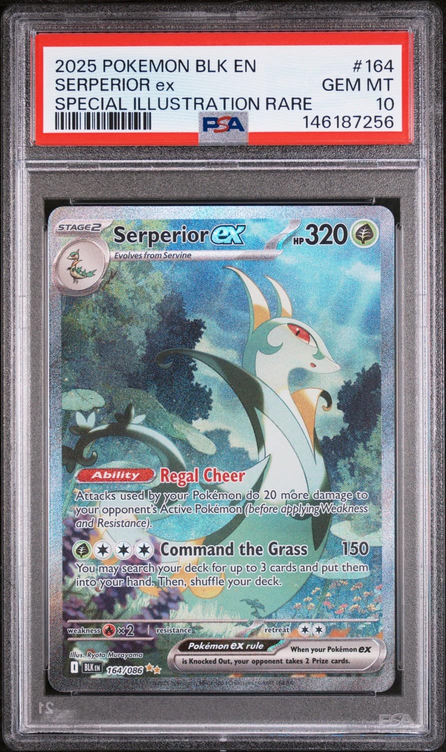 Serperior Ex
