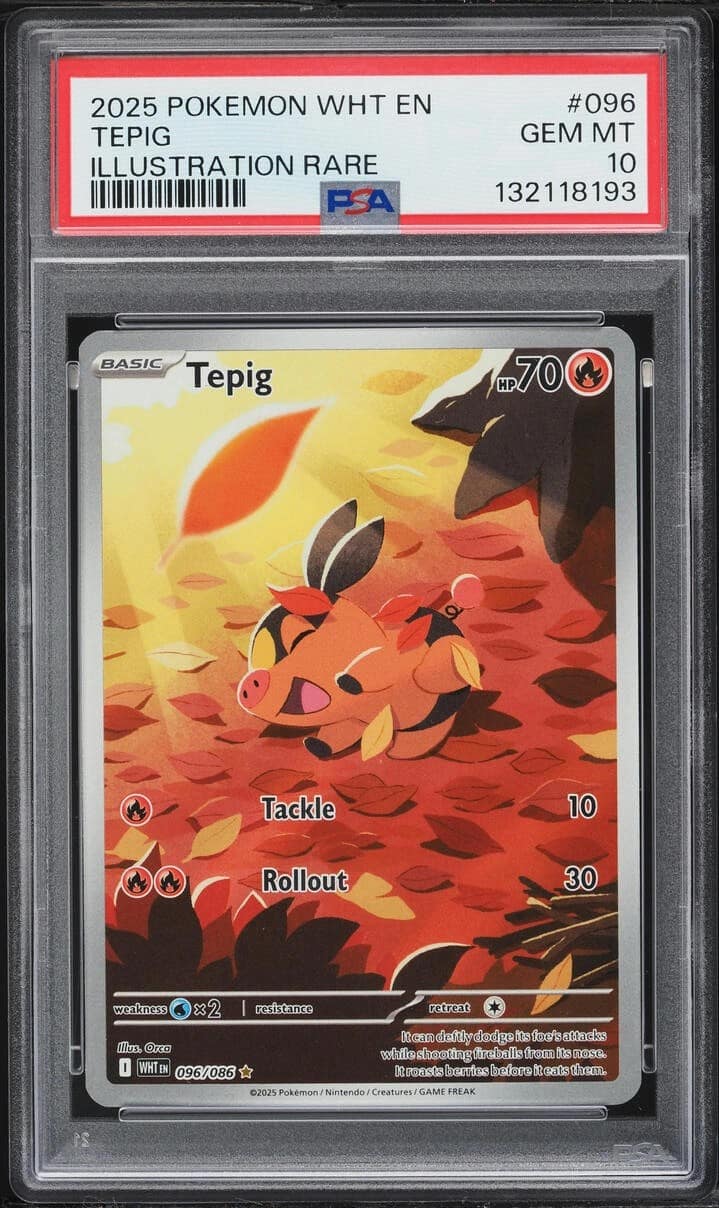 Tepig