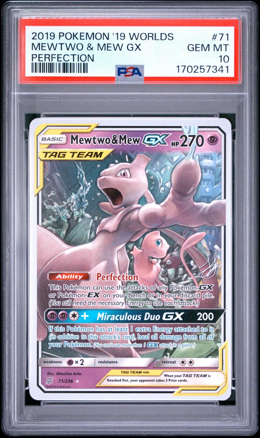 Mewtwo & Mew Gx