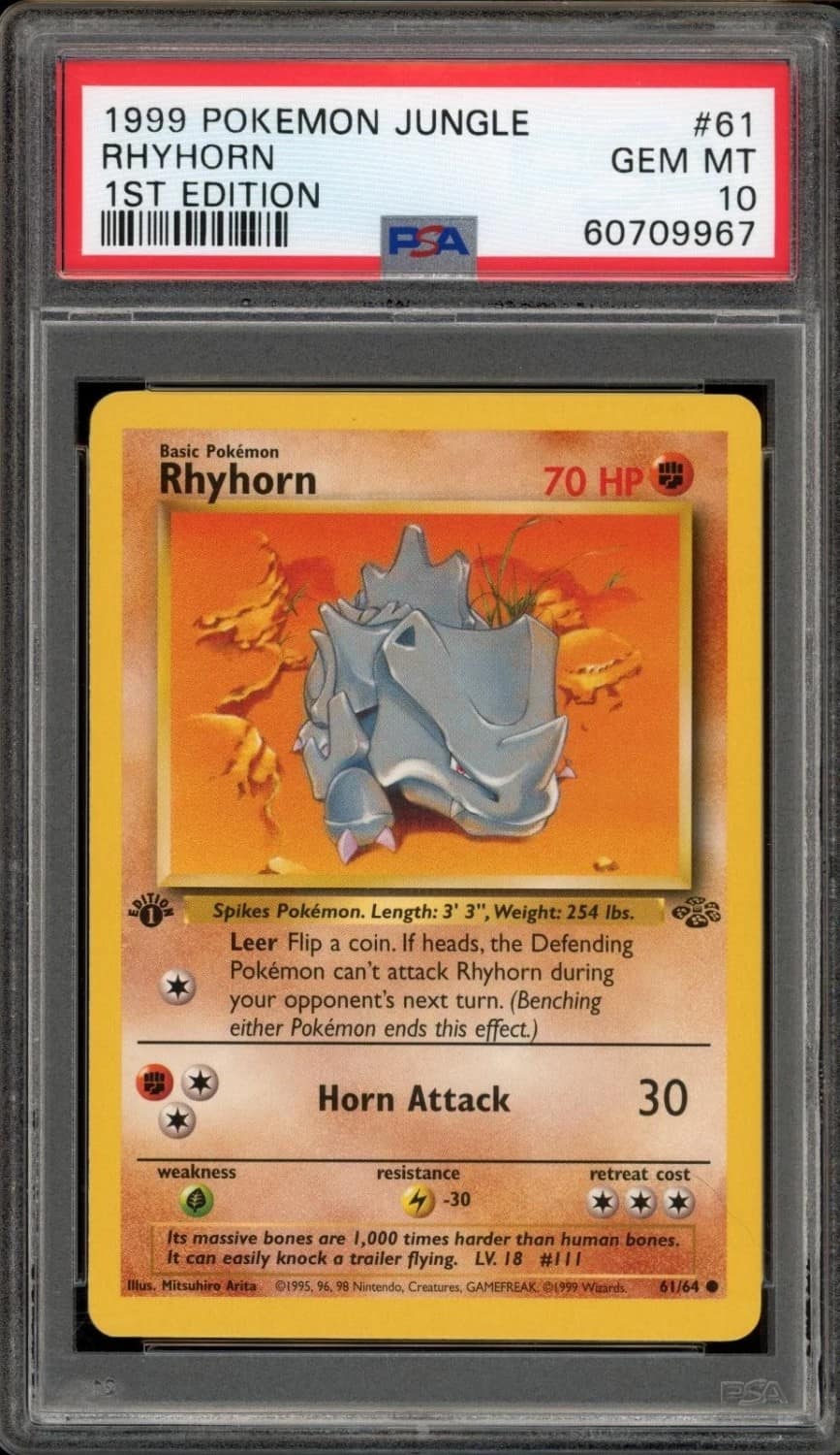Rhyhorn