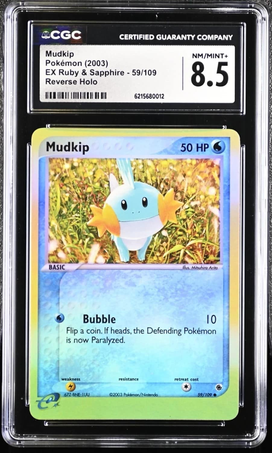 Mudkip