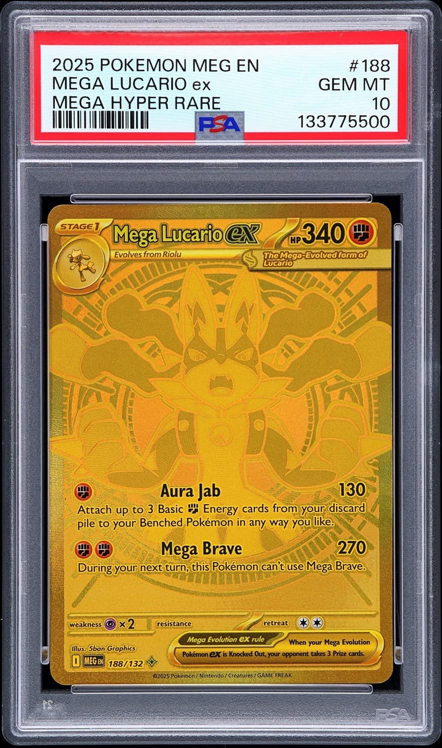 Mega Lucario Ex