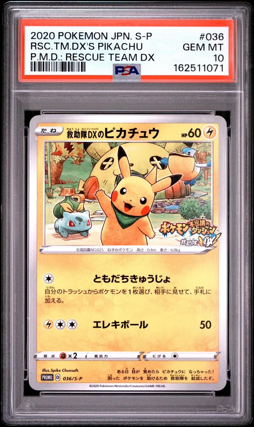 Rescue Team Dx'S Pikachu