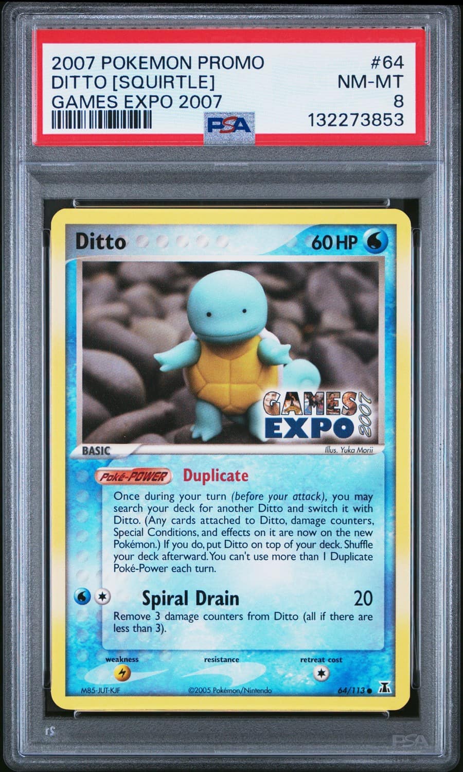 Ditto [squirtle]