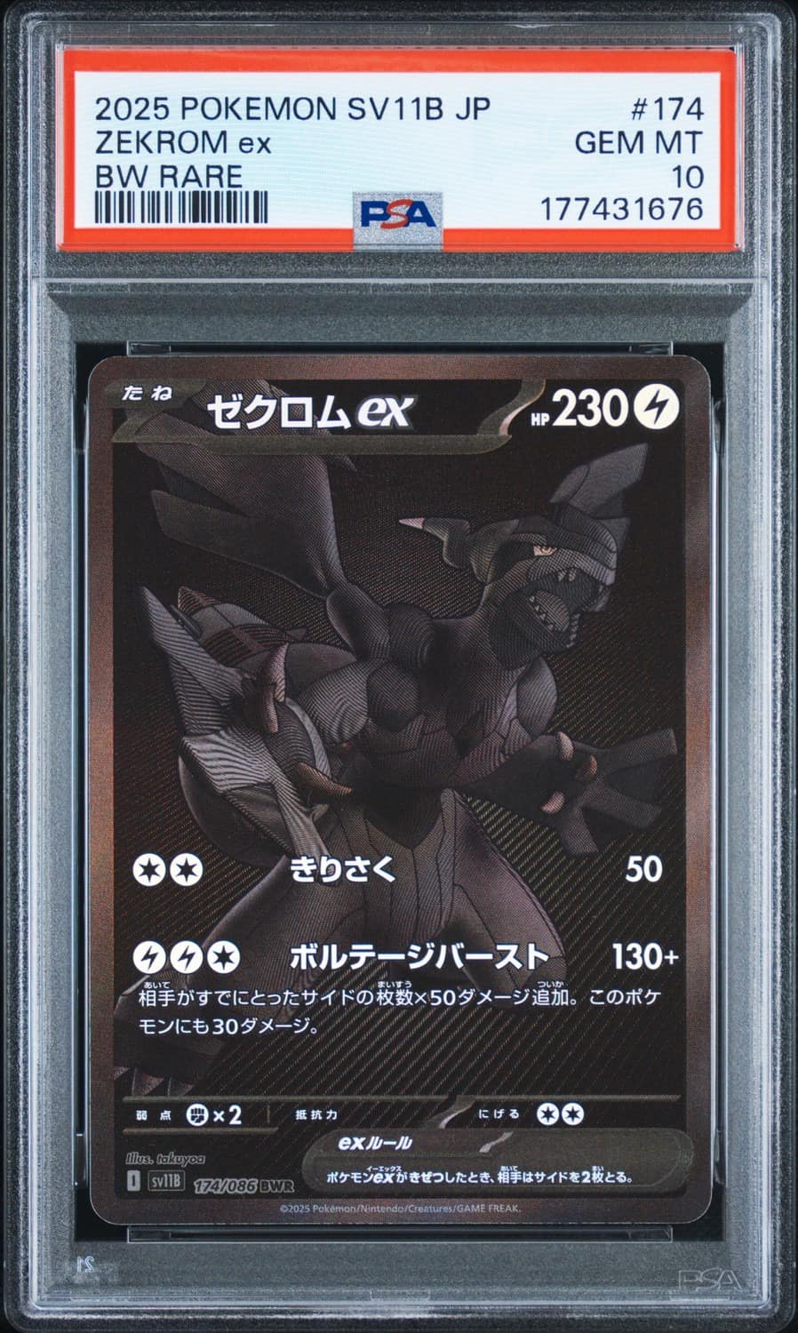 Zekrom Ex