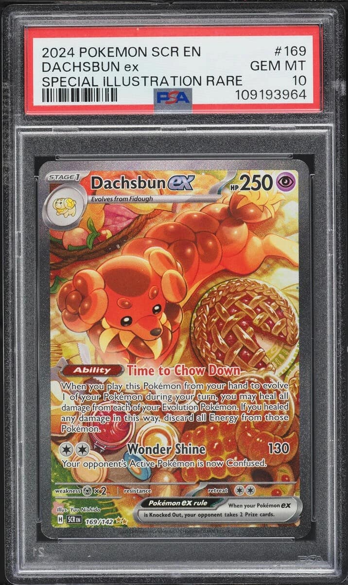Dachsbun Ex
