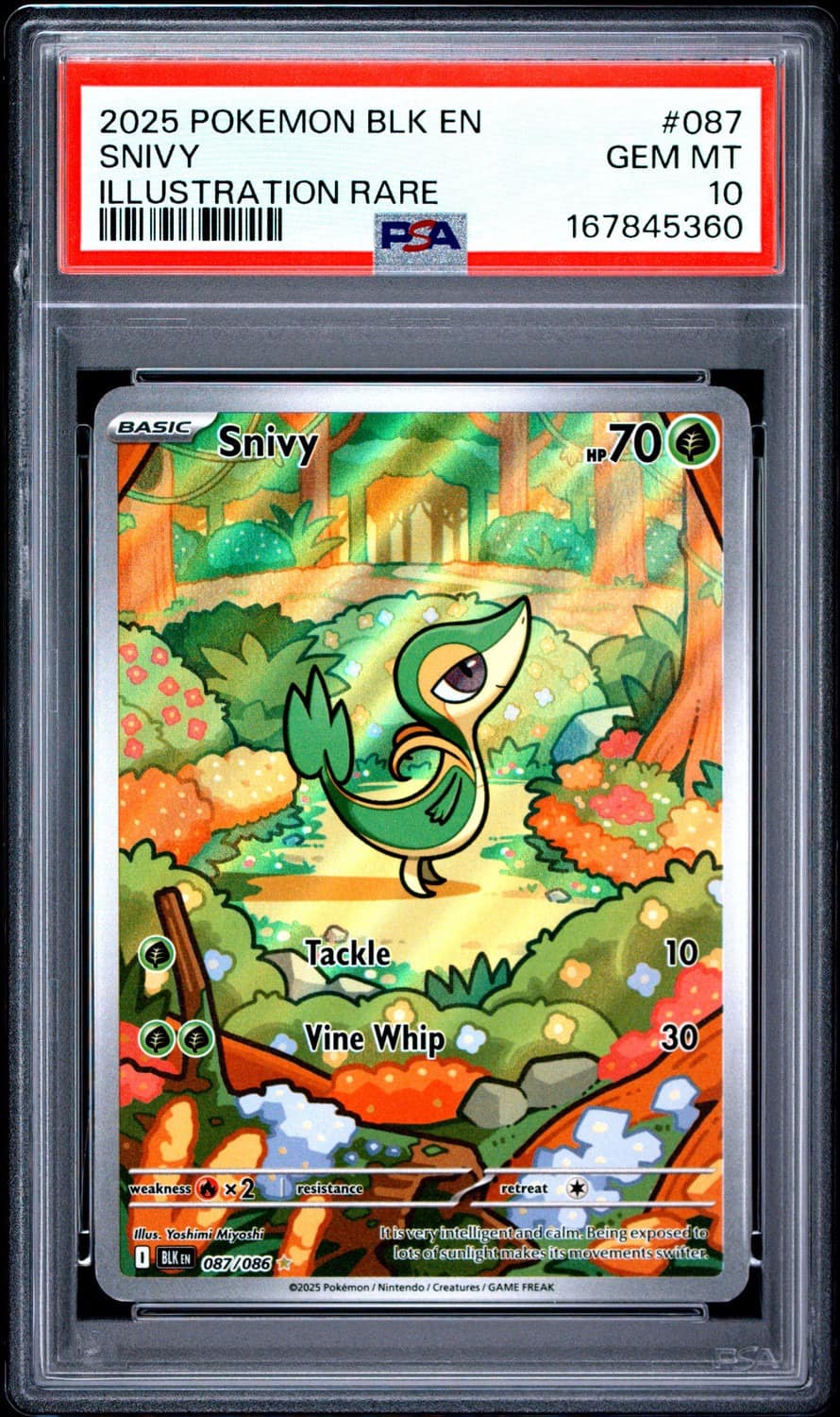 Snivy