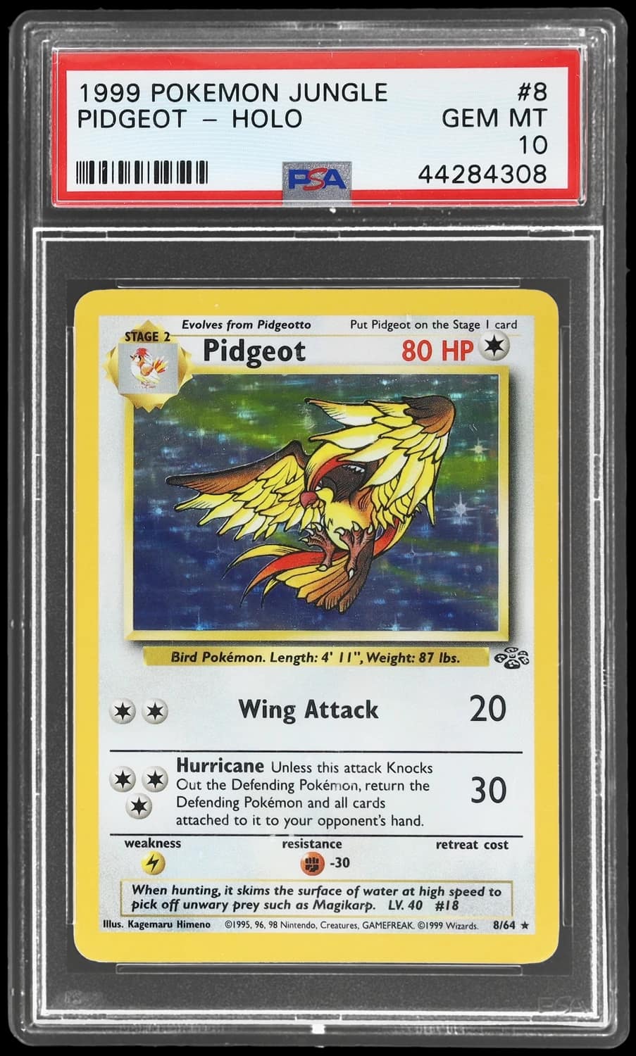 Pidgeot