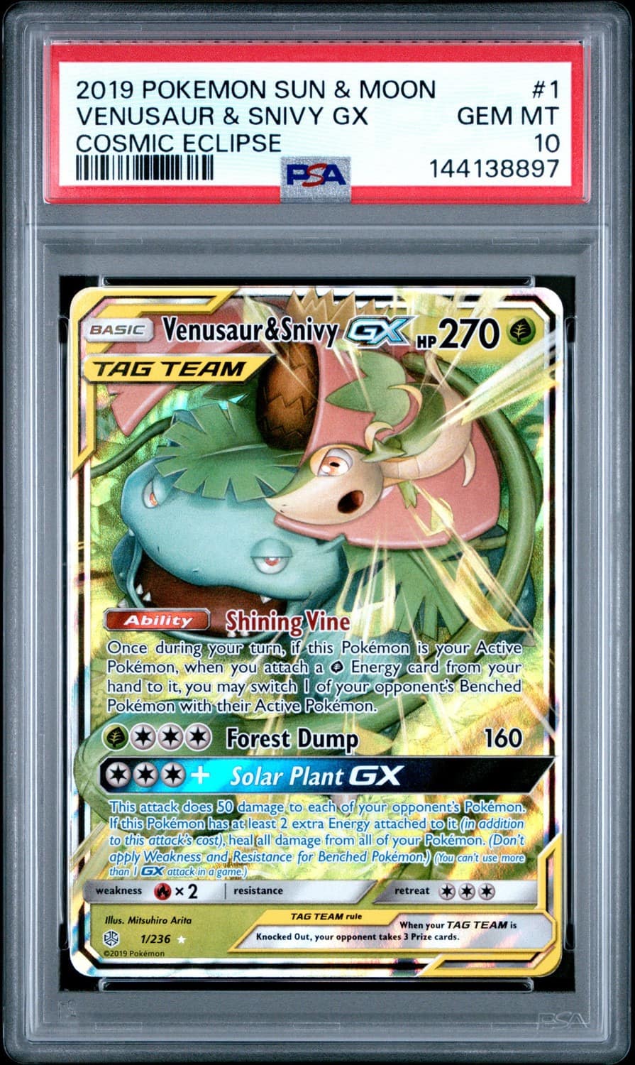 Venusaur & Snivy Gx