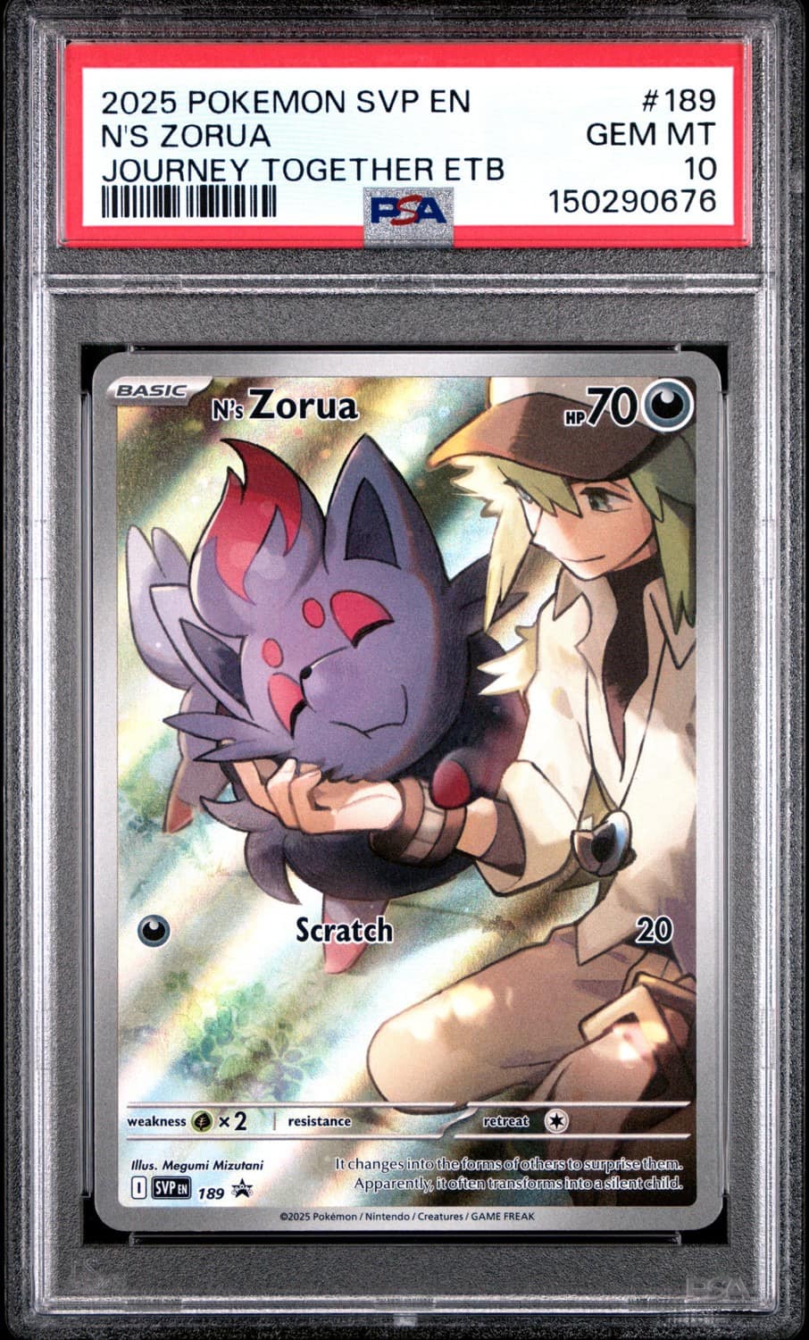 N'S Zorua