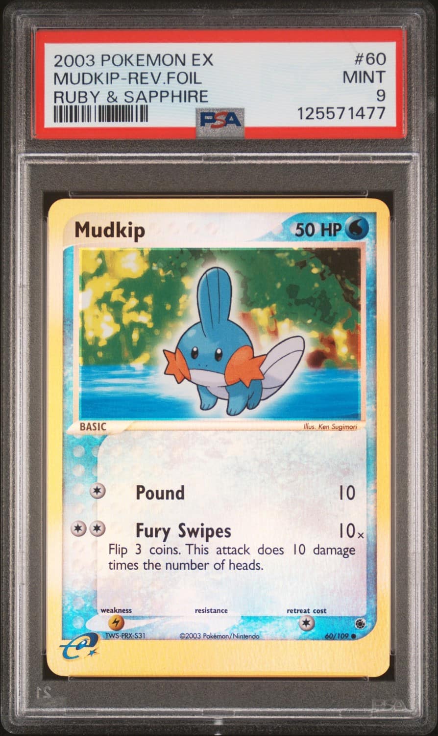 Mudkip