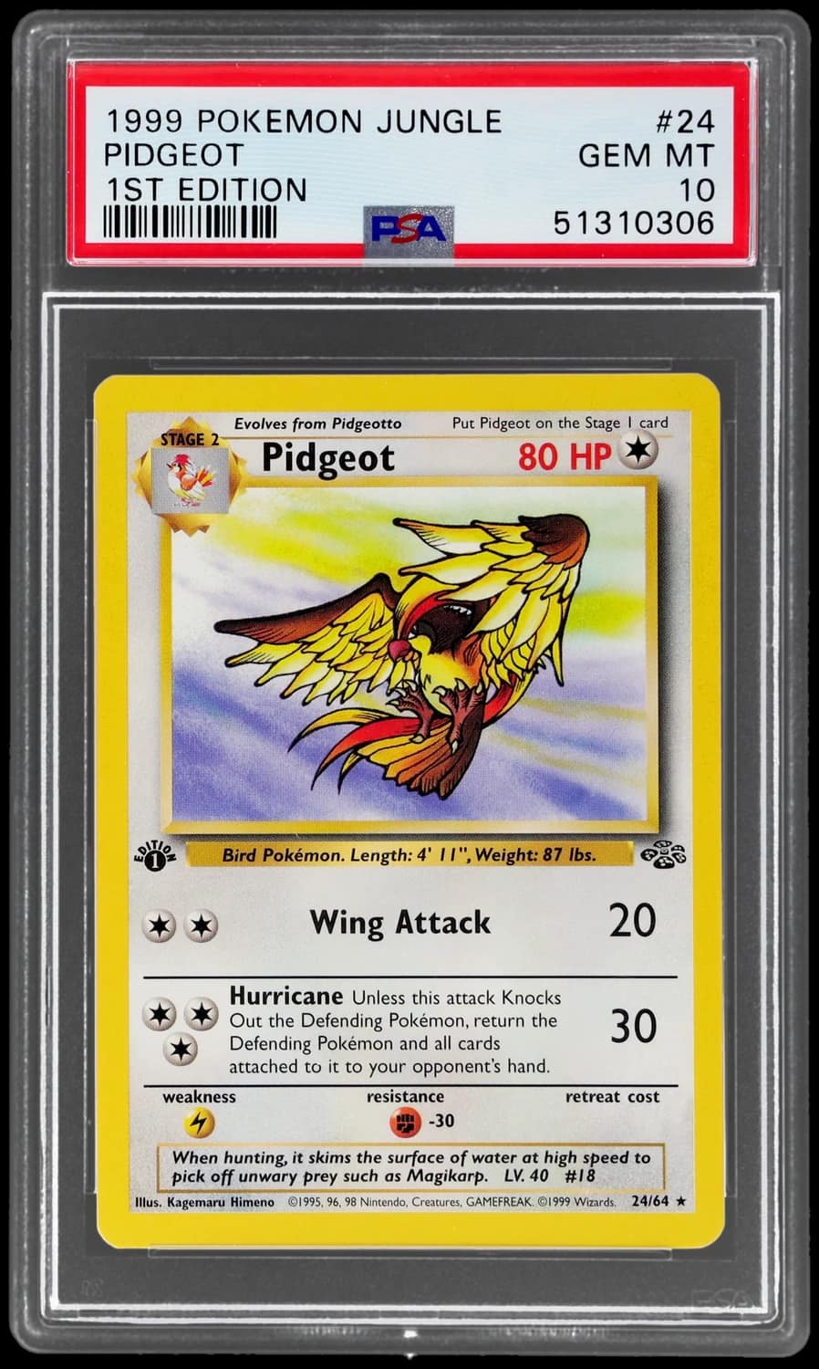 Pidgeot