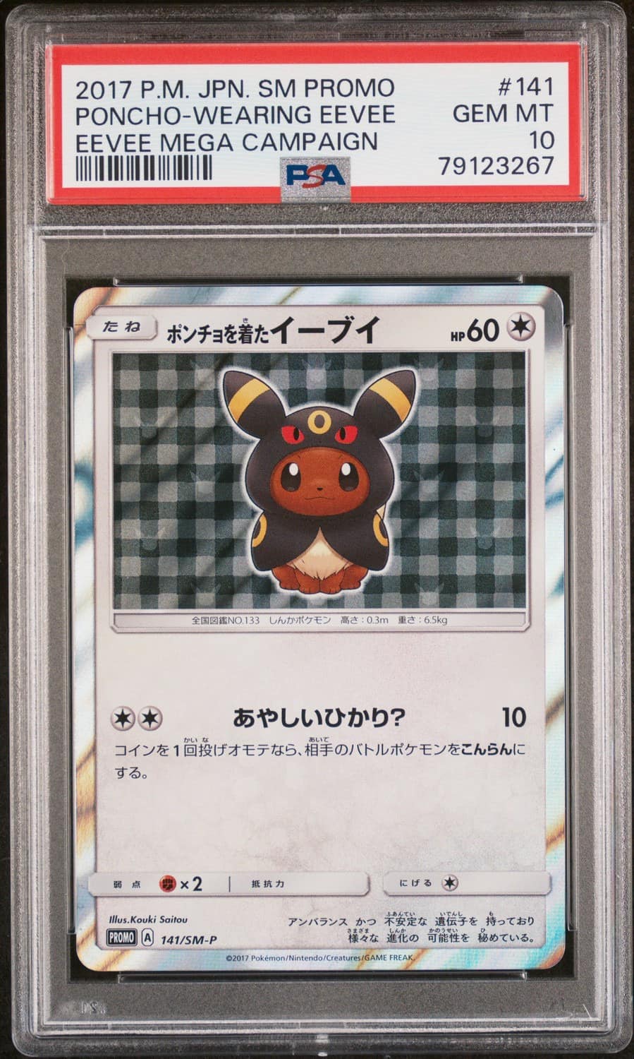 Poncho-Wearing Eevee