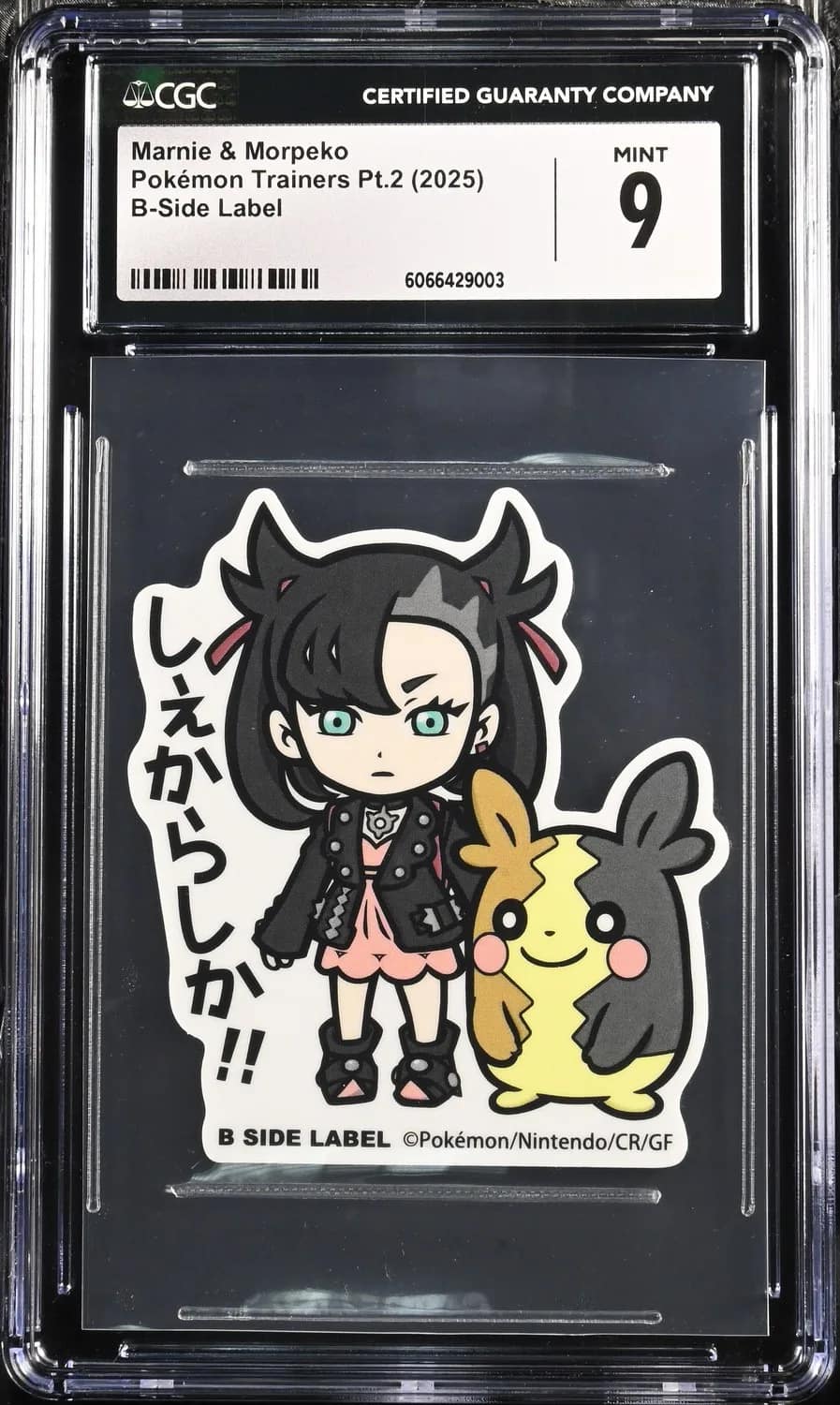 Marnie & Morpeko